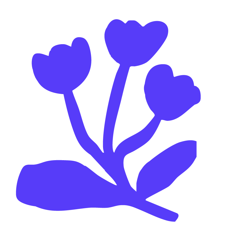 forma decorativa naranja